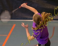 1BULLMINTON - 0482